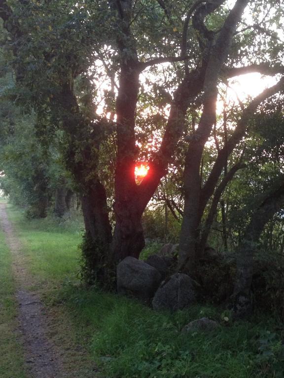 Paradiset Oestra Oeland Nedra Sandby Eksteriør bilde